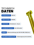 T-Bolt M14 x 82 mm galvanized